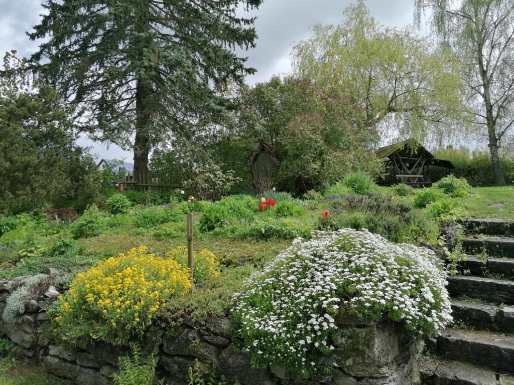 Ruestzeitenheim Sonnenschein Saalburg Buitenkant foto