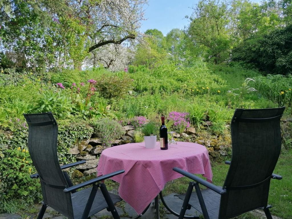 Ruestzeitenheim Sonnenschein Saalburg Buitenkant foto