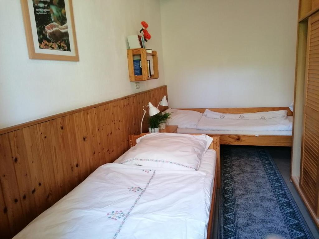 Ruestzeitenheim Sonnenschein Saalburg Kamer foto